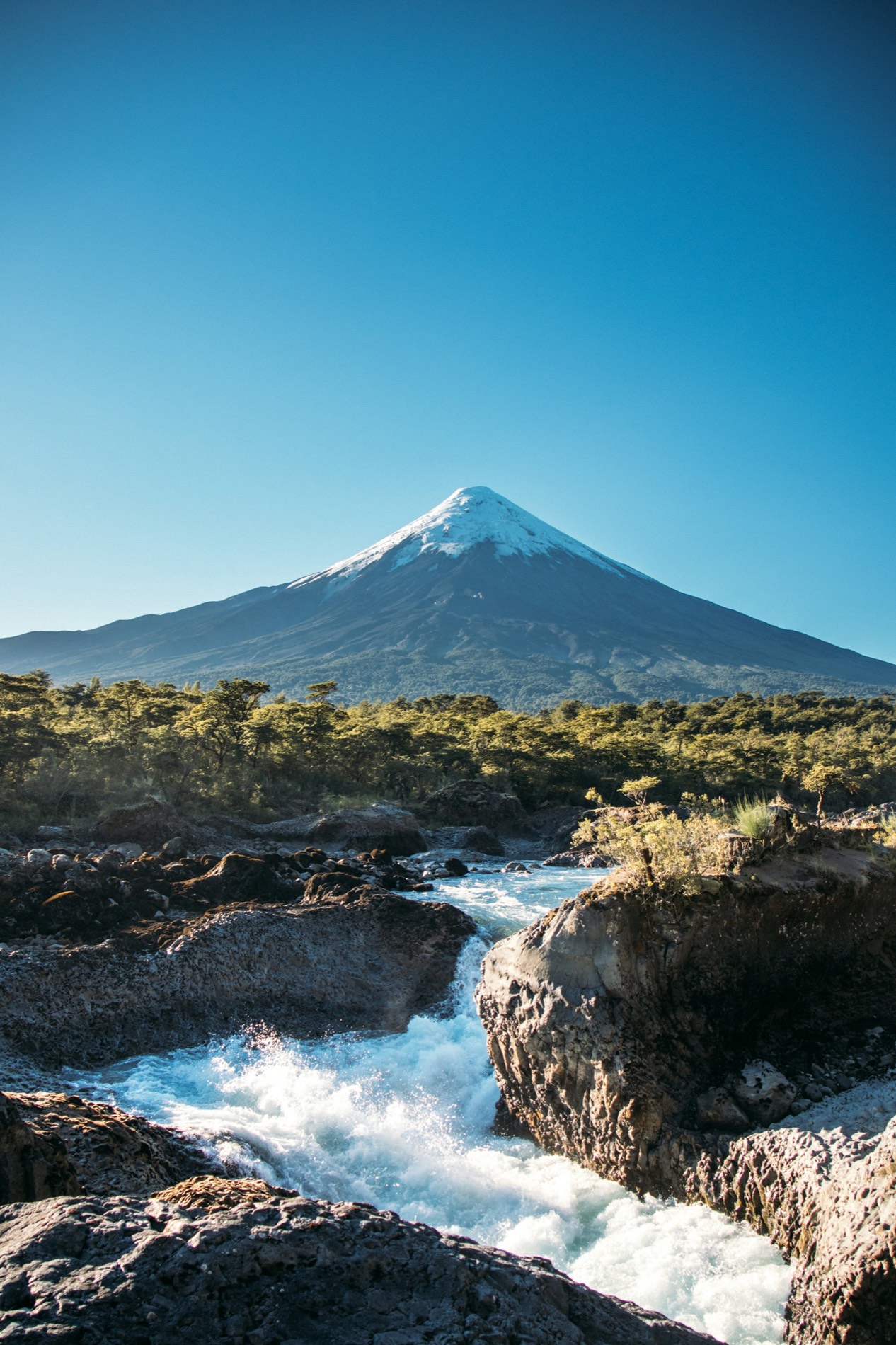 Volcán Osorno nevado sobre un río de aguas rocosas y bosque verde